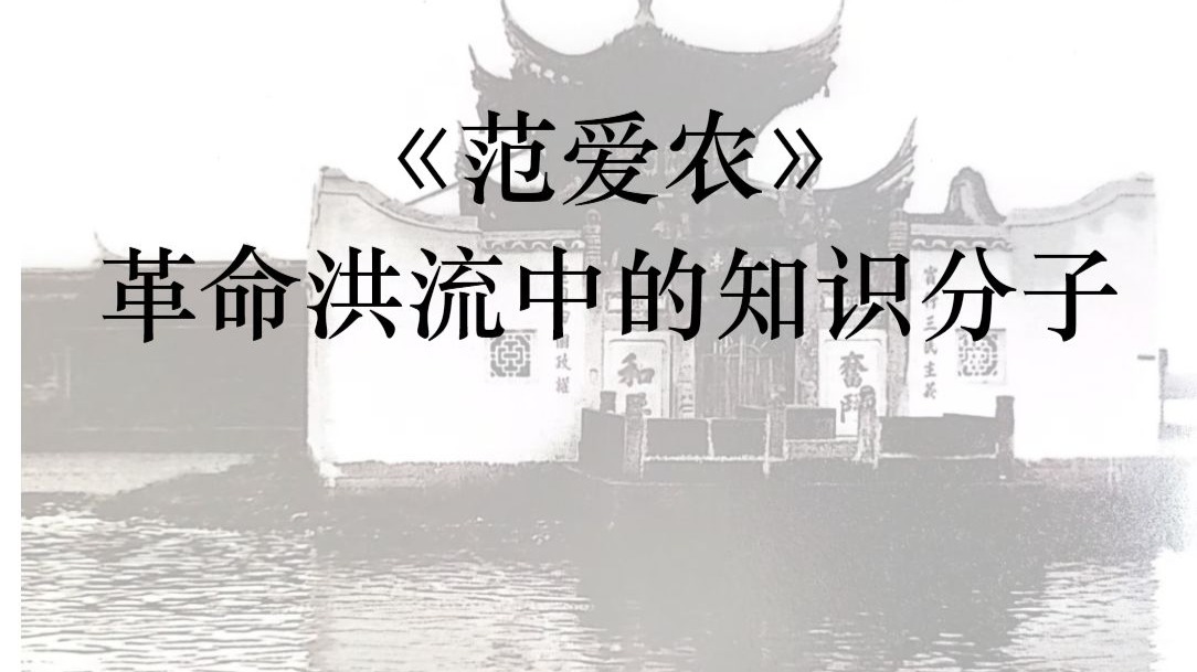 散文解读——《范爱农》鲁迅：私人辛亥革命史