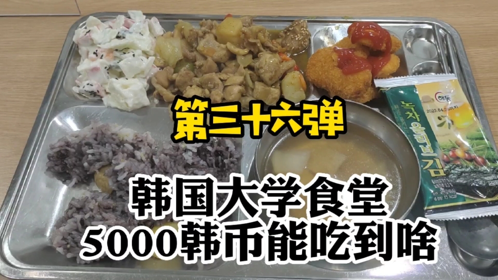 韩国大学“钮钴禄”食堂之冲上顶流 谁能拒绝一整盘的咖喱鸡哔哩哔哩bilibili