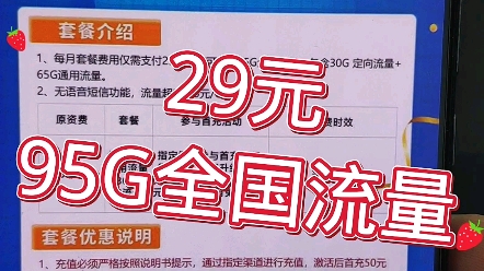 29元95G全国流量,永久套餐哔哩哔哩bilibili