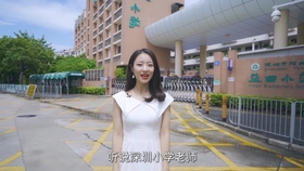 百强区2020排名GDP_中国城市gdp2020排名(3)