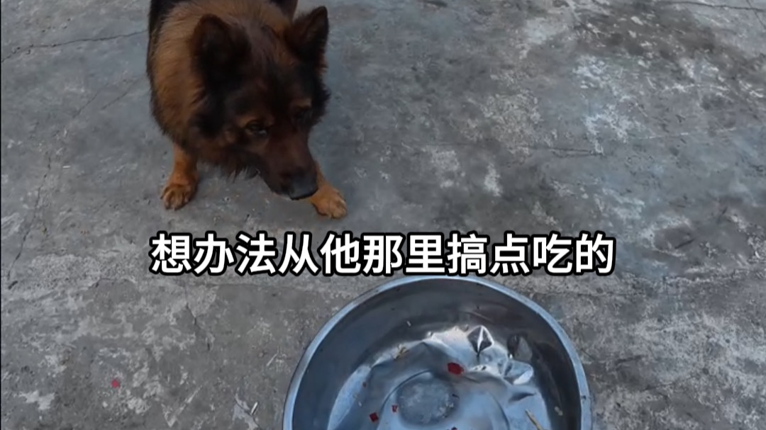 穷游到贵州 饿的不行了找狗哥要点吃的