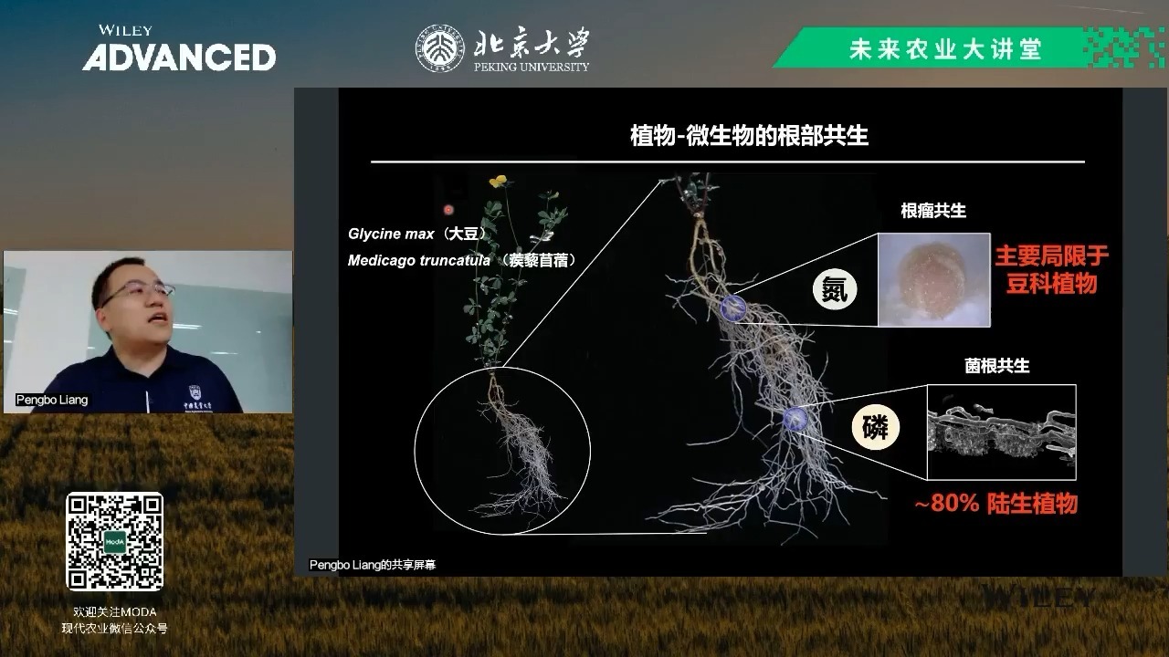 根瘤菌共生固氮的胞内侵染机制解析
