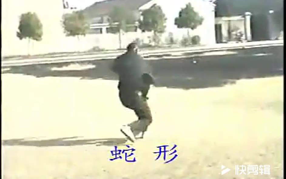 【搬运】史文灼先生 形意 蛇形 演练及讲解
