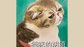 6d98254eeee1b184a884e3bd01eafc0b4df1b2ab.jpg@280w_158h_1c_100q.jpg
