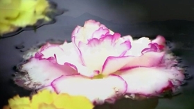 6db587d9bf752d7fd98a553fcf47850283e2c2b8.jpg@280w_158h_1c_100q.jpg
