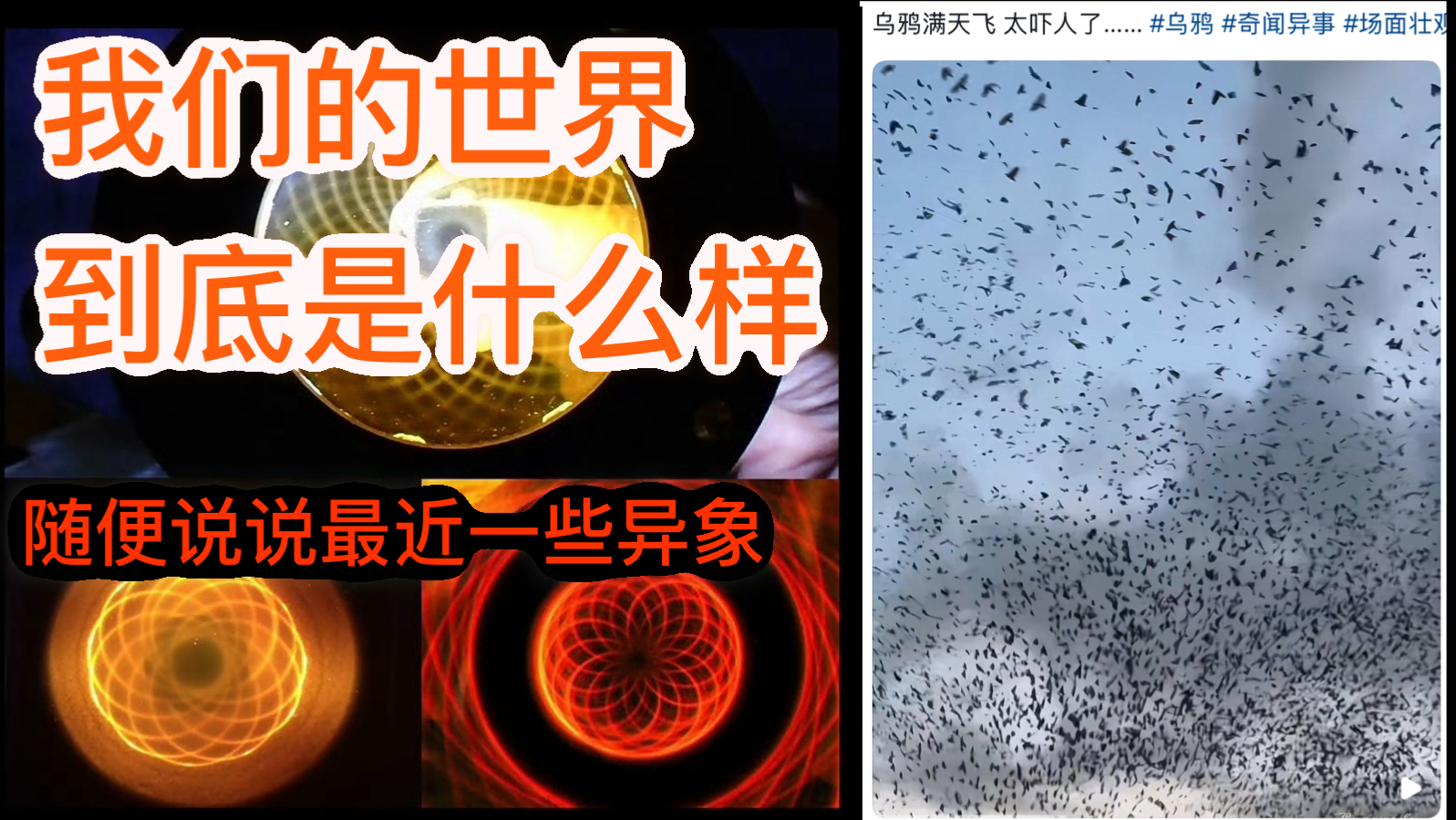 我们的世界真的是地球吗？为什么很多文娱作品讲的是完全不同的世界观，跳出矩阵才能看到真相