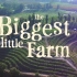 官方预告.纪录片The Biggest Little Farm(最大的小小农场 | 中字