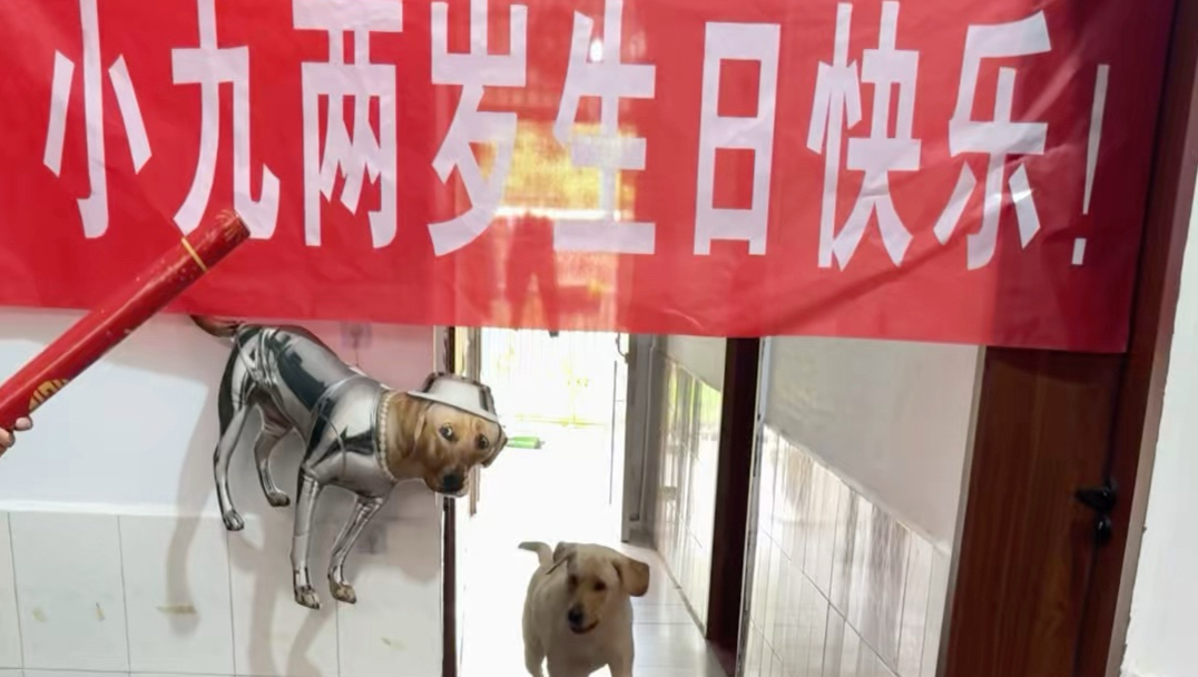 小九两岁生日快乐