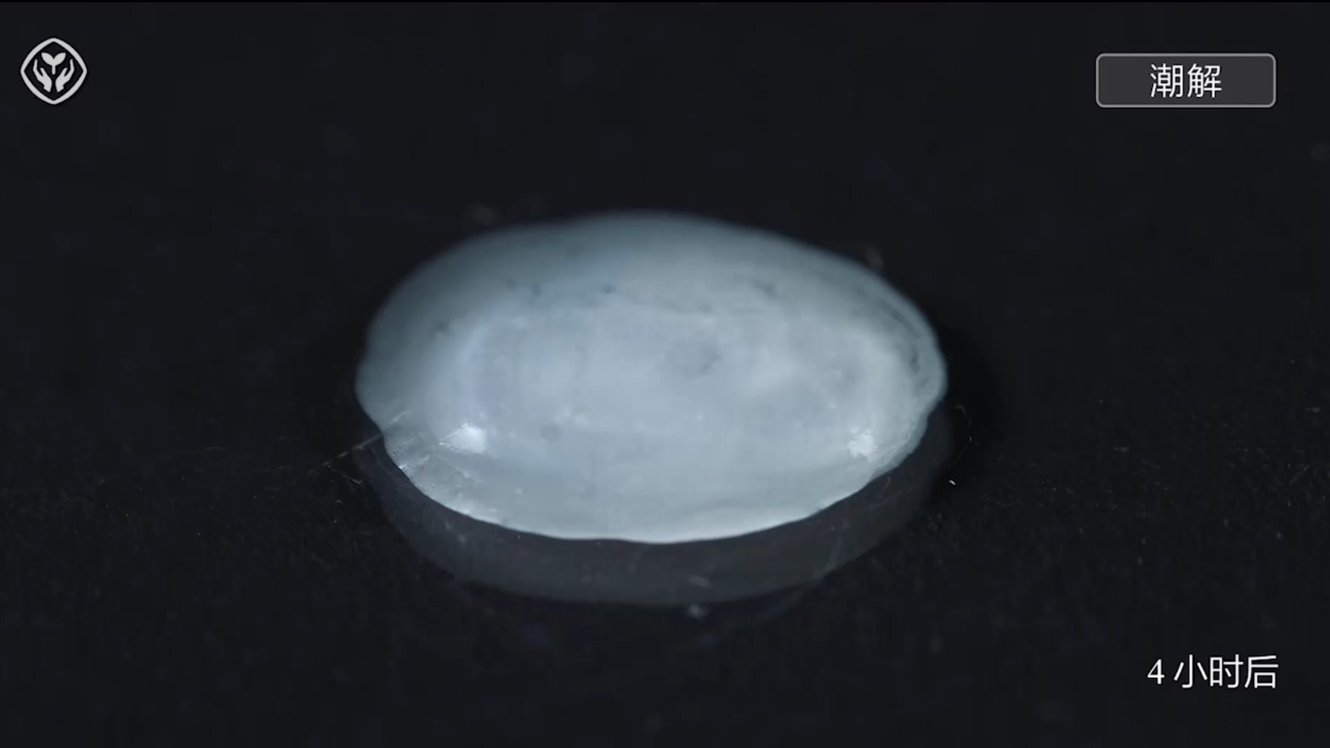 【人教版2024】10-8观察氢氧化钠（初中化学）