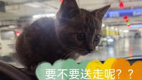 咋的啦是什么语气 6e239bbda1a3a380516b0d15812a61b2a36b9aa7.jpg@280w_158h_1c_100q.jpg