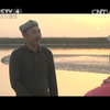 《阿克苏的苹果红了