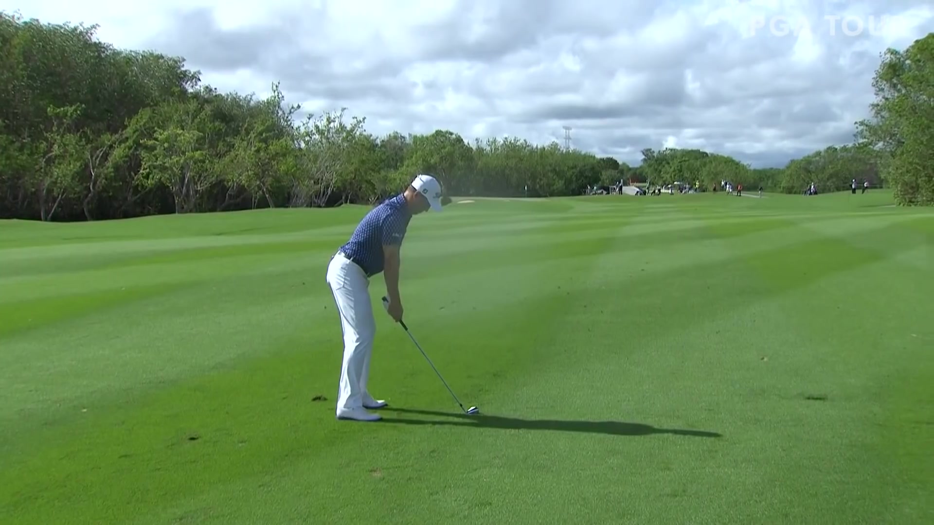 Justin Thomas shoots 4under 67 Round 2 Mayakoba Golf Classic哔哩哔哩bilibili