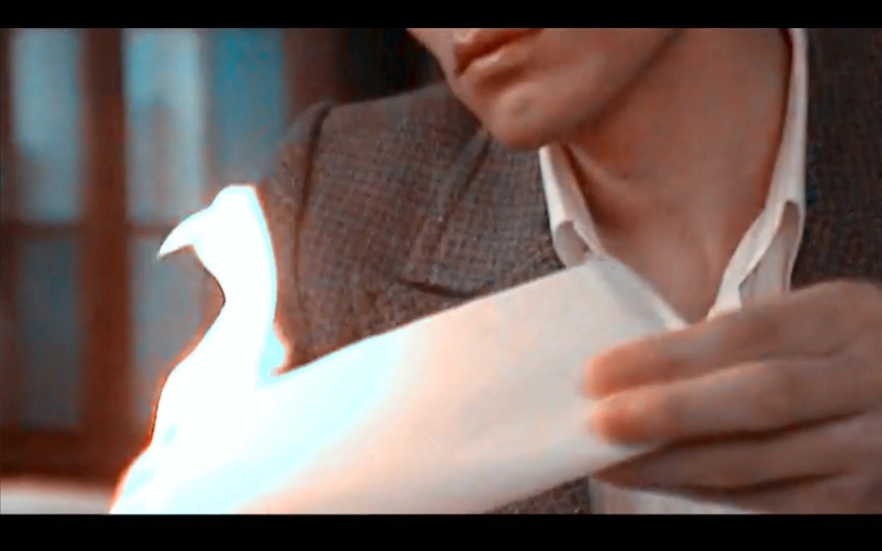 【谍影重重之上海|向亦鹏|李光洁个人】易燃易爆炸
