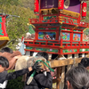 #日本樱花妹 #海外生活 #周末时光 在日本的周末，你们想看的樱花妹她们来喽