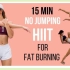 【Emi Wong】【健身教程】无跳跃！15分钟全身燃脂训练！！