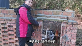 6e4b88bd6abff0db0d6cf5c3b41fe117e15265bd.jpg@280w_158h_1c_100q.jpg