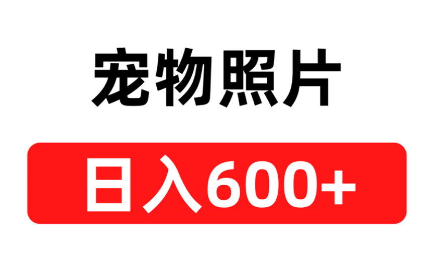 拍宠物照片发布,100播放就有收益,上不封顶哔哩哔哩bilibili