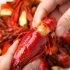 史上最爽小龙虾吃法，用最简单的做法烹饪出最好吃的小龙虾！