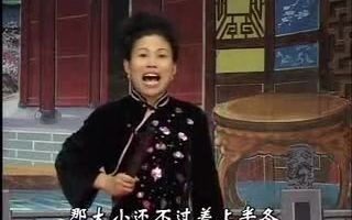 河南坠子 -大明奇冤上下部(1-18)集