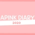 【联合中字】Apink Diary 2020合集 更新至EP.3