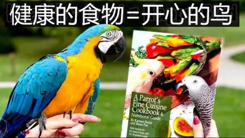 6e6945ffa683a9eec2d143c7e6ffbf69934c14cb.jpg@480w_270h_1c