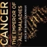 【PBS】癌症：众疾之皇 全3集 720P中英文双语字幕 Cancer The Emperor Of All Malad
