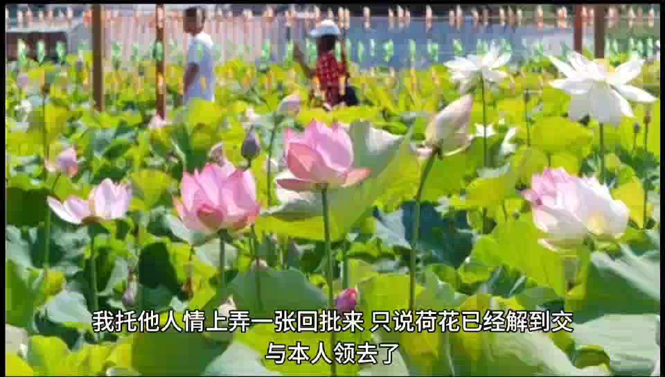 《儒林外史》第十九回 匡超人幸得良朋 潘自业横遭祸事