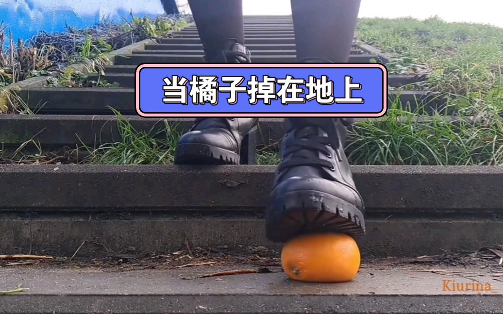 【科学讲堂】当橘子掉在地上~