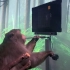 马斯克的Neuralink网站发布一段视频，显示一只猴子用脑玩游戏