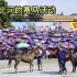 越南北河县的赛马活动。