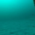 水下摄像记录底拖网捕捞过程。能看出来对海底环境影响挺大的