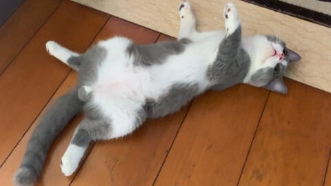 6ebad9c1cd298827c68511aca7eaf30902dab36f.jpg@480w_270h_1c