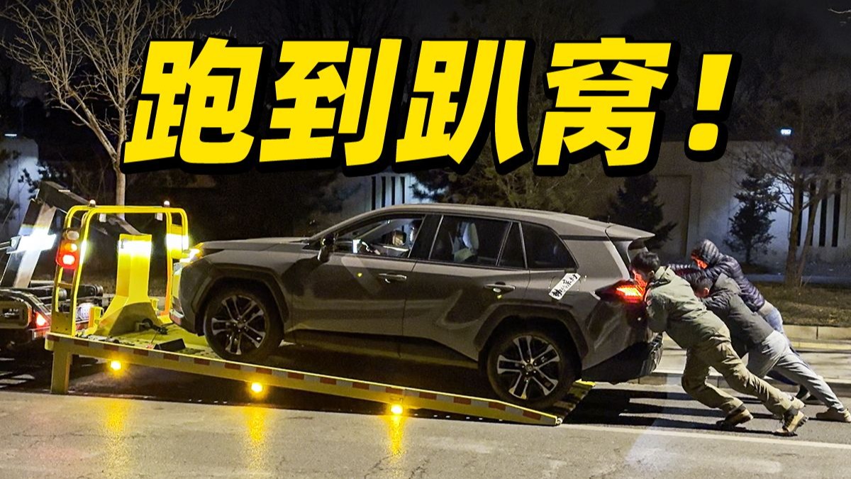 全网超详细！全新丰田RAV4荣放评测，越野不输普拉多？