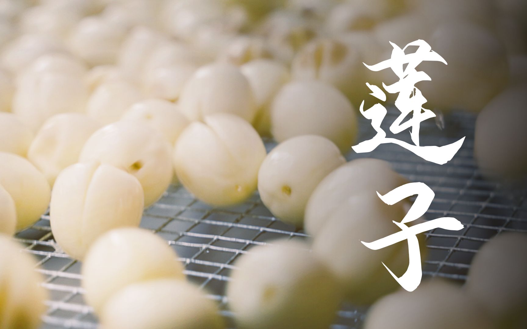 《百医百草百方》041-莲子