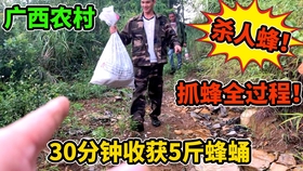 6ed1b6b83d845a5d7299a33a244215f864567d2d.jpg@280w_158h_1c_100q.jpg