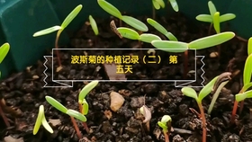 6ed37ec5fe3ccb3367593b0326f4a2a762f7f1a7.jpg@280w_158h_1c_100q.jpg