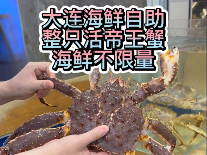 回大连吃顿海鲜自助有多嗨，两人一整只活帝王蟹，各种活海鲜随便吃