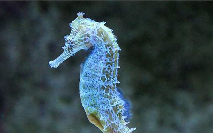 怪物虐人P3的全部相关视频_bilibili