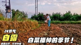 6f1f211ad601666e6259718ca4185b61185d5d95.jpg@280w_158h_1c_100q.jpg