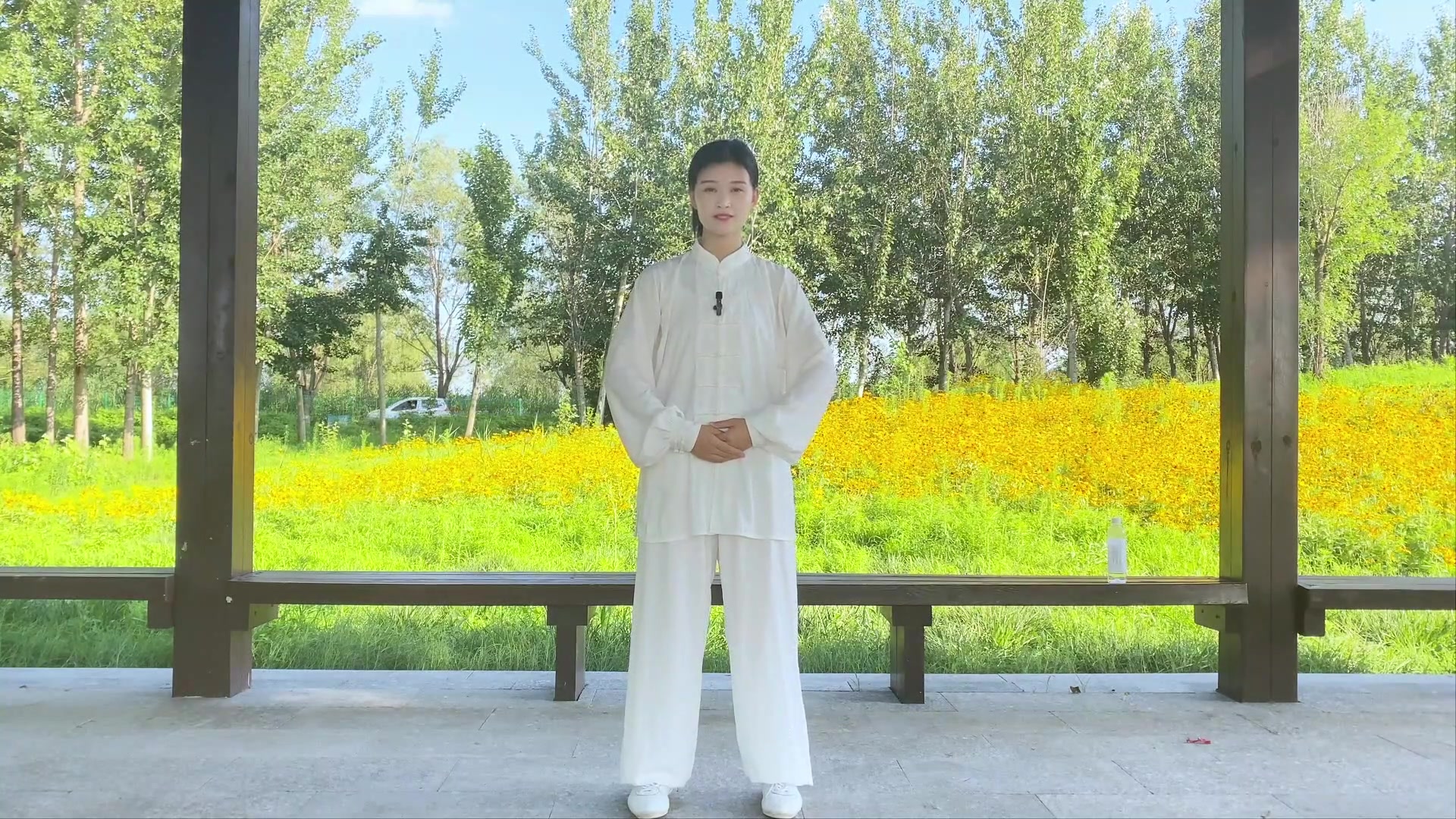 秘传内家筑基桩功混元桩+逍遥步