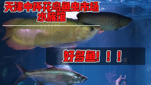 6f557537414061ac2e78ba1f0a3060bbd0b0785a.jpg@480w_270h_1c