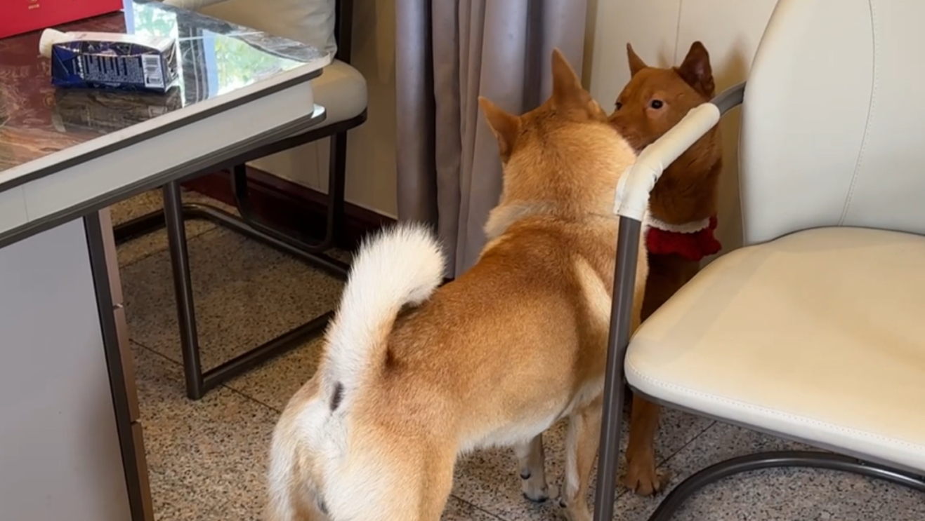 今日宜相亲