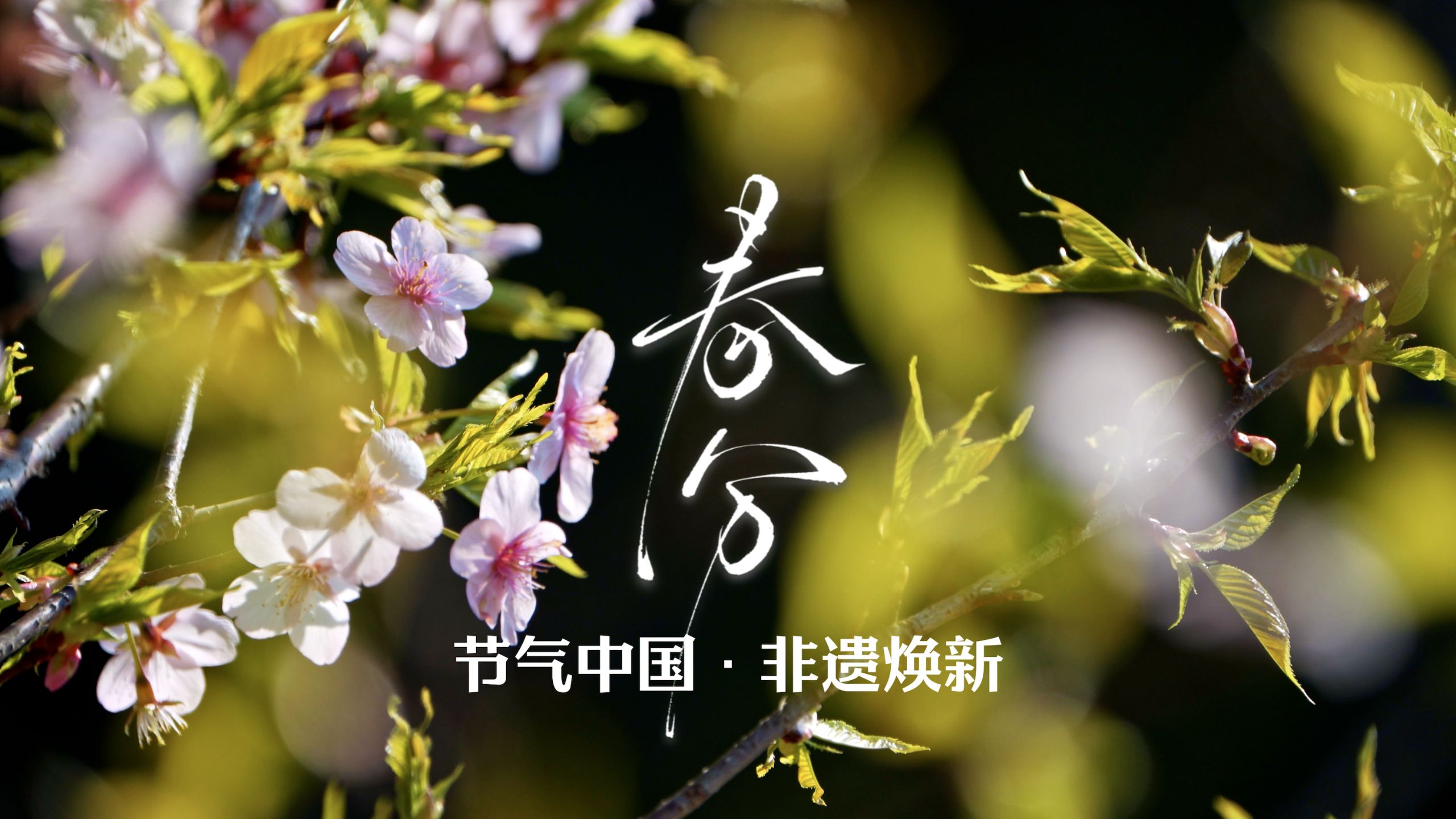 春分日，为什么“最惜今朝”？