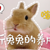【侏儒兔】一斤兔兔的养成｜｜一点点喜欢