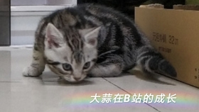 6f6ec58d779605ed5db5347f678e9d2c432c5070.jpg@280w_158h_1c_100q.jpg