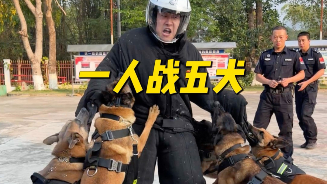 云南警犬基地