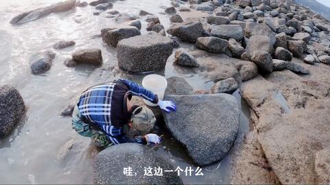 6f880b239b7726b6b1bd4ade4b8817446b8ec2dc.jpg@480w_270h_1c