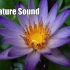 【脑波疗愈音乐】210.42Hz/赫兹生殖轮频率 Sacral Chakra 西藏钵声音 音乐 脉轮净化 灵性开启