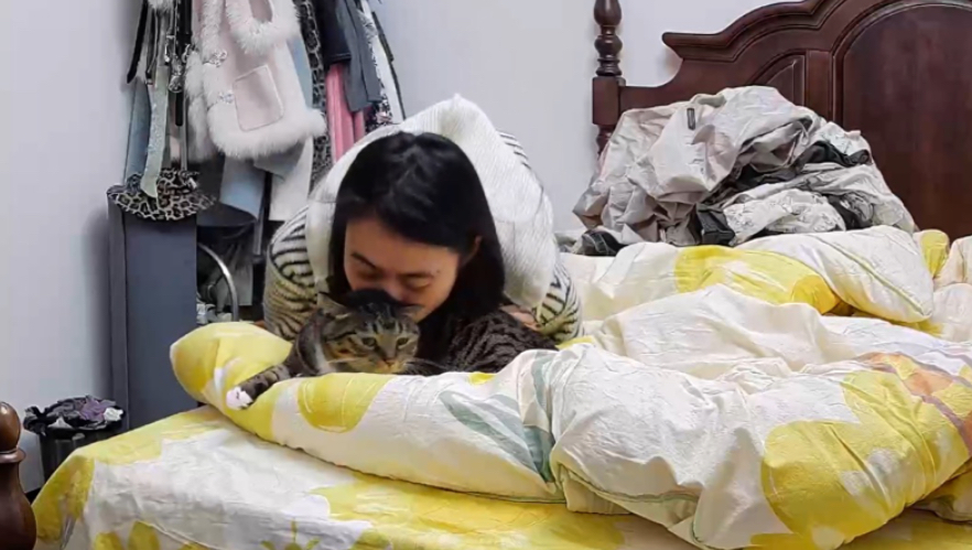 小猫咪真的很妨碍人类干活