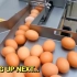 流水线上的鸡蛋处理，一起来看看吧！！！
